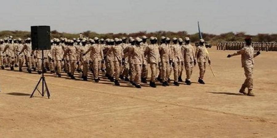 حملة تجنيد واسعة للشباب في شمال دارفور.. من وراءها؟ - تليجراف الخليج