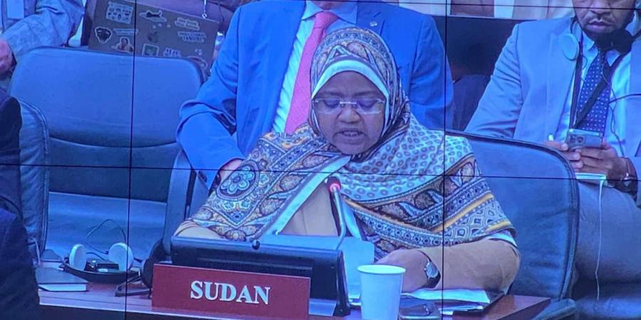 السودان يخطر منظمة حظر الأسلحة الكيميائية - تليجراف الخليج