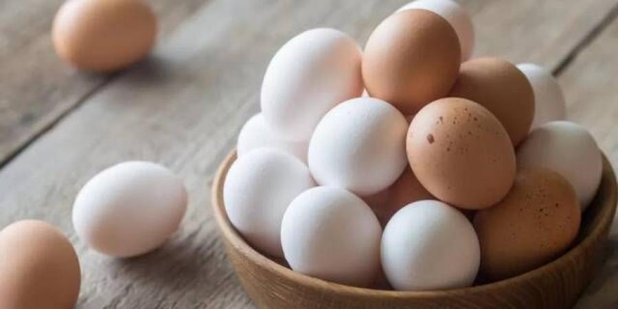 الحكومة الأمريكية ترفع دعوى ضد كاليفورنيا بسبب أسعار البيض - تليجراف الخليج