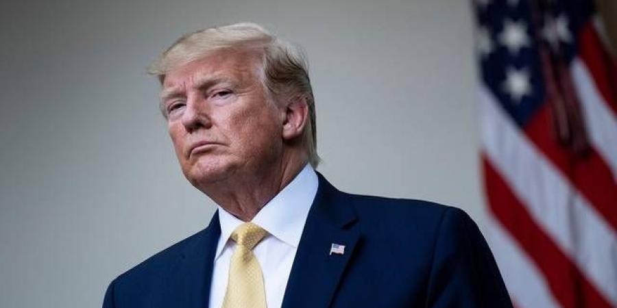 المكسيك تتحرك لتفادي رسوم ترامب الجمركية عبر مجموعة عمل مشتركة مع واشنطن - تليجراف الخليج