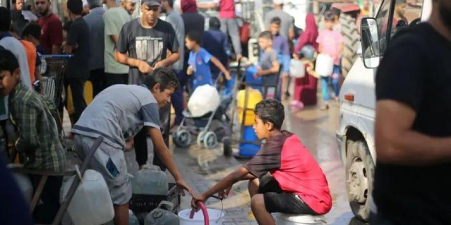 مصر تبلغ مبعوث ترامب رفضها إنشاء مدينة للخيام جنوب غزة - تليجراف الخليج
